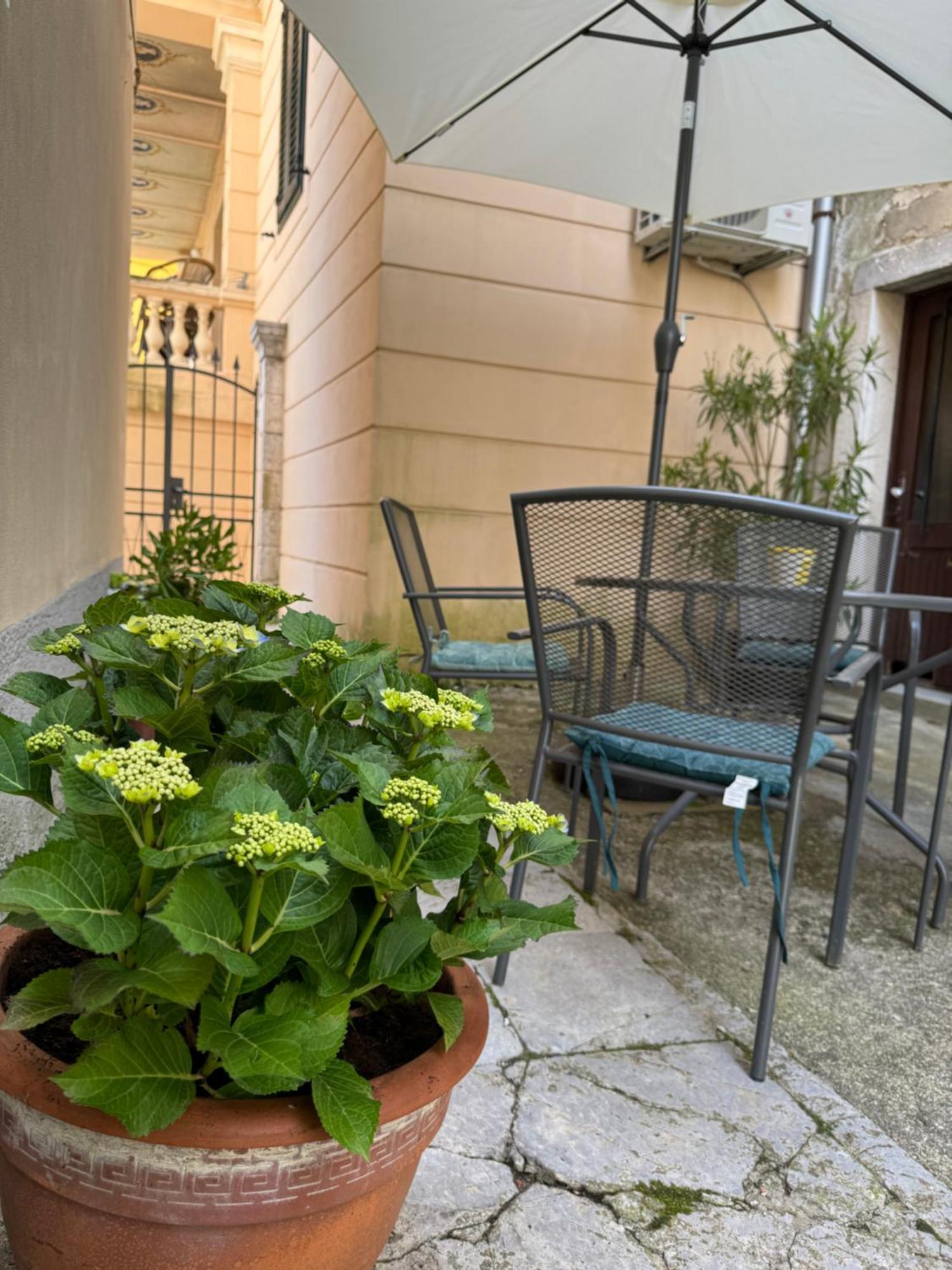 Apartment Mirna - What You See Is What You Get Опатия Экстерьер фото